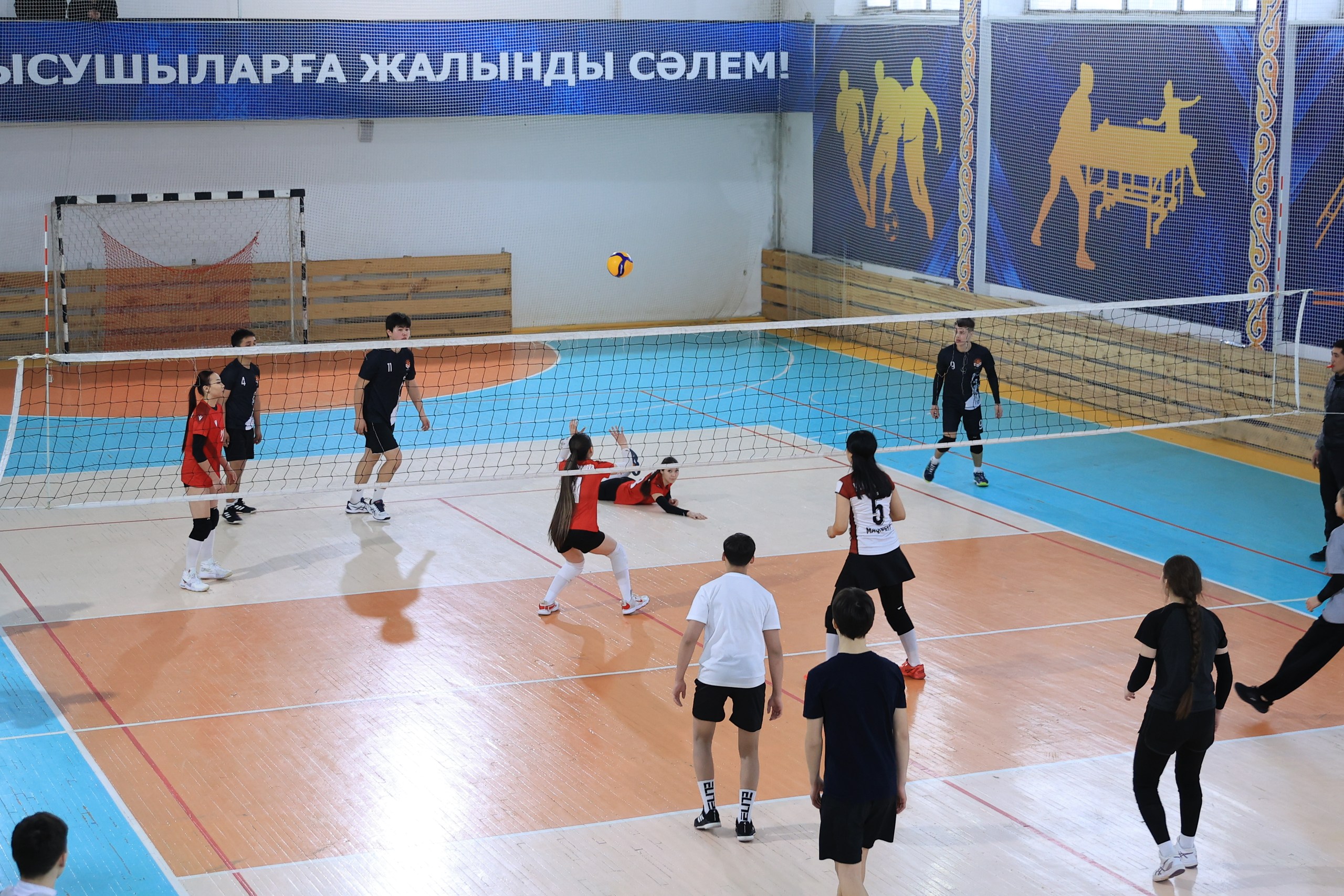 Бірінші курс студенттері спортта бақ сынады