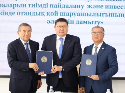 Ғылым мен өндіріс сабақтастығы: Қой шаруашылығын жаңғырту жайындағы кеңес