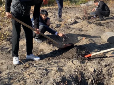 ШӘКӘРІМ ЖОҒАРЫ КОЛЛЕДЖІ АББАТТАНДЫРУ ЖҰМЫСТАРЫН ЖҮРГІЗДІ