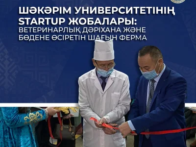 ШӘКӘРІМ УНИВЕРСИТЕТІНІҢ STARTUP ЖОБАЛАРЫ: ВЕТЕРИНАРЛЫҚ ДӘРІХАНА ЖӘНЕ БӨДЕНЕ ӨСІРЕТІН ШАҒЫН ФЕРМА