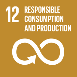 SDG #12