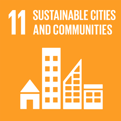 SDG #11